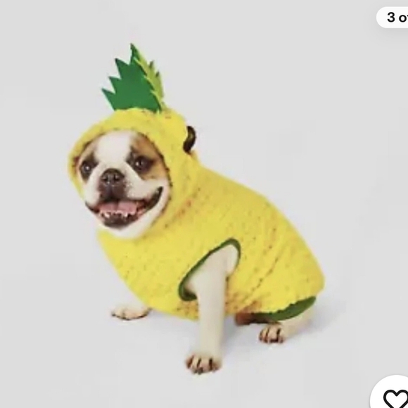 Other - Pineapple Dog Costume - Yellow and Green
